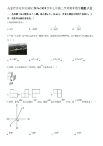 2024-2025学年济南市历城区七年级上学期期末数学模拟试题（无答案）