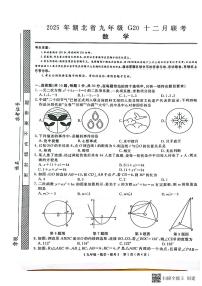 湖北2024年上学期九年级G20(12月)联考数学试卷+答案