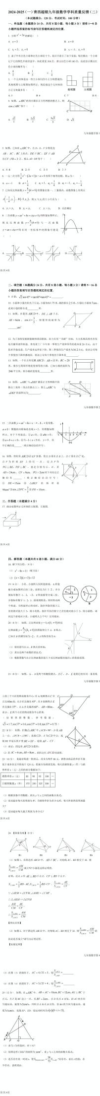山东省青岛西海岸新区超银学校2024—2025学年九年级上学期第二次月考数学试卷
