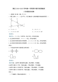 河北省邯郸市魏县2024-2025学年八年级上学期期中数学试卷（解析版）