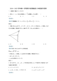 河北省邯郸市临漳县2024-2025学年八年级上学期期中数学试卷（解析版）