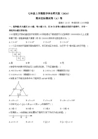 七年级上学期数学华东师大版（2024）期末达标测试卷（A）卷