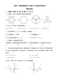 福建省福州市永泰县第一中学2023-2024学年九年级上学期月考数学试题（原卷版）-A4