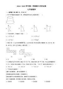 河南省平顶山市宝丰县2024-2025学年七年级上学期11月期中数学试题（原卷版）-A4