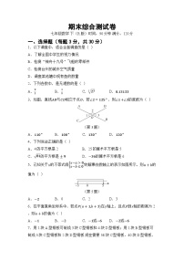 期末综合测试卷一 （试卷）2024—2025学年人教版（2024）数学七年级下册