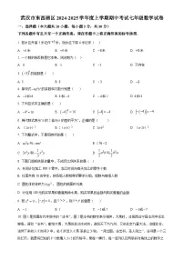 湖北省武汉市东西湖区2024-2025学年 上学期期中考试七年级数学试卷（原卷版）-A4