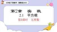 湘教版（2024）七年级下册（2024）第2章 实数2.1 平方根一等奖课件ppt