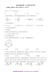2024～2025学年湖南省长沙市开福区青竹湖湘一外国语学校九年级(上)数学第三次月考试卷(无答案)