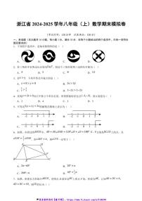 2024～2025学年浙江省八年级(上)试卷数学期末模拟卷（原卷+解析卷）