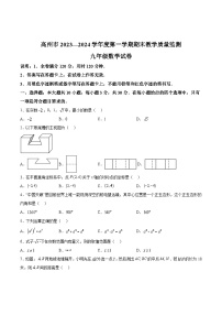 广东省茂名市高州市2024届九年级上学期期末考试数学试卷(含答案)