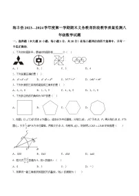 广东省汕尾市海丰县2023-2024学年八年级上学期期末考试数学试卷
