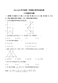 河北省沧州市献县2023-2024学年八年级上学期期末考试数学试卷(含答案)