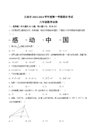 湖北省黄石市大冶市2023-2024学年八年级上学期期末考试数学试卷(含答案)