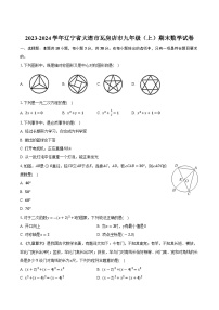 辽宁省大连市瓦房店市2024届九年级上学期1月期末考试数学试卷(含答案)