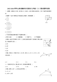 山东省德州市乐陵市2024届九年级上学期期末质量检测数学试卷(含答案)