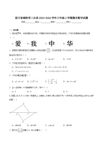 四川省绵阳市三台县2023-2024学年八年级上学期期末考试数学试卷(含答案)
