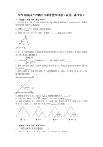 2024年黑龙江省鹤岗市中考数学模拟试卷（含答案解析版）
