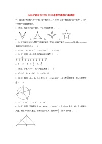 山东省青岛市2024年中考数学模拟汇编试题（含解析）