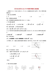 四川省自贡市2024年中考数学模拟汇编试题（含答案）