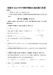 昭通市2024年中考数学模拟汇编试题与答案