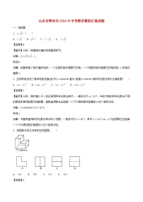 山东省潍坊市2024年中考数学模拟汇编试题（含解析）