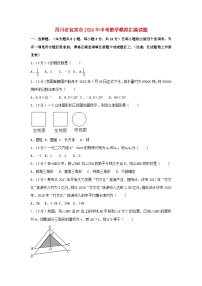 四川省宜宾市2024年中考数学模拟汇编试题（含解析）