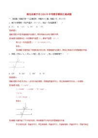 湖北省咸宁市2024年中考数学模拟汇编试题（含解析）