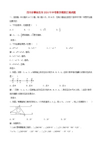 四川省攀枝花市2024年中考数学模拟汇编试题（含解析）