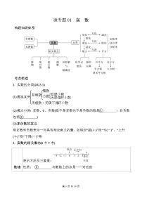 2025年中考数学一轮总复习精讲精练 微专题01  实  数