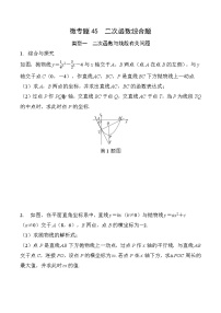 2025年中考数学一轮总复习精讲精练 微专题45  二次函数综合题  学案（含答案）