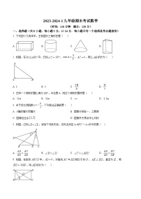陕西省西安市铁一中学2024届九年级上学期期末考试数学试卷(含解析)