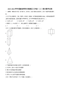 福建省莆田市城厢区2023-2024学年七年级上学期期末考试数学试卷(含答案)