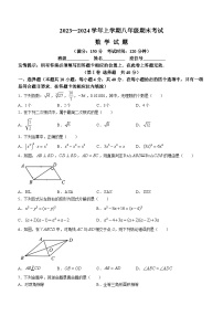 福建省泉州市鲤城区2023-2024学年八年级上学期期末考试数学试卷(含答案)