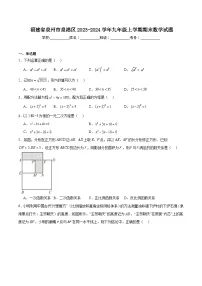 福建省泉州市泉港区2024届九年级上学期期末考试数学试卷(含解析)