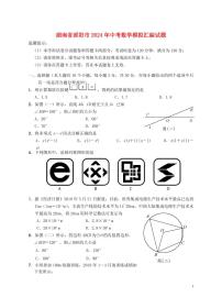 湖南省邵阳市2024年中考数学模拟试题（含答案）