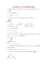 湖北省随州市2024年中考数学模拟试题（含解析）