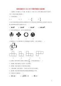 湖南省衡阳市2024年中考数学模拟试题（含扫描答案）