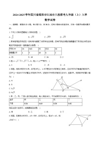 四川省绵阳市江油市八校联考2025届九年级上学期入学考试数学试卷(含答案)
