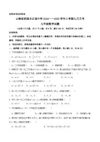 云南省昭通市正道中学2025届九年级上学期9月月考数学试卷(含答案)