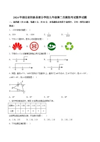 湖北省黄石市阳新县部分学校2024届九年级下学期中考二模数学试卷(含答案)