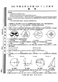 2025年湖北省九年级G20十二月联考数学试卷（附参考答案）