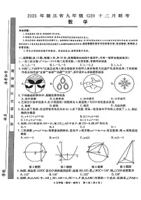 2025年湖北省九年级G20十二月联考数学试卷（附参考答案）