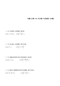 北师大版数学七上期末培优训练专题14 解一元一次方程 专项训练（40题）（2份，原卷版+解析版）