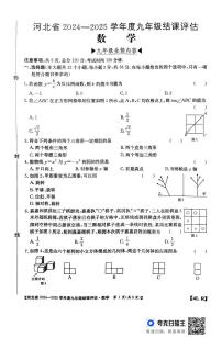 河北省廊坊市2024-2025学年九年级上学期12月期末数学试题