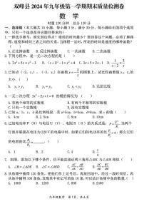 湖南省娄底市双峰县2024-2025学年九年级上期末考试数学题