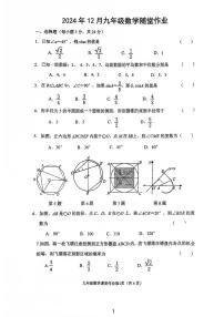 江苏省常州市天宁区第二十四中学2024-2025学年九年级上学期12月月考数学试题