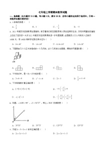 广东省广州市花都区2024年七年级上学期期末数学试题【附答案】