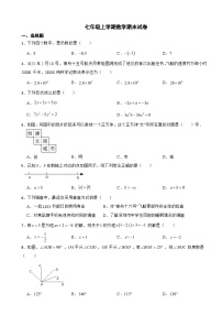 广东省深圳市2024年七年级上学期数学期末试卷【附答案】