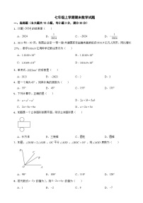 湖南省长沙市2024年七年级上学期期末数学试题【附答案】