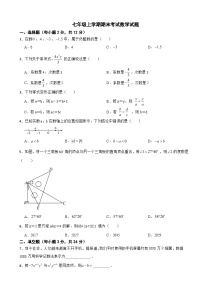 吉林省松原市2024年七年级上学期期末考试数学试题【附答案】